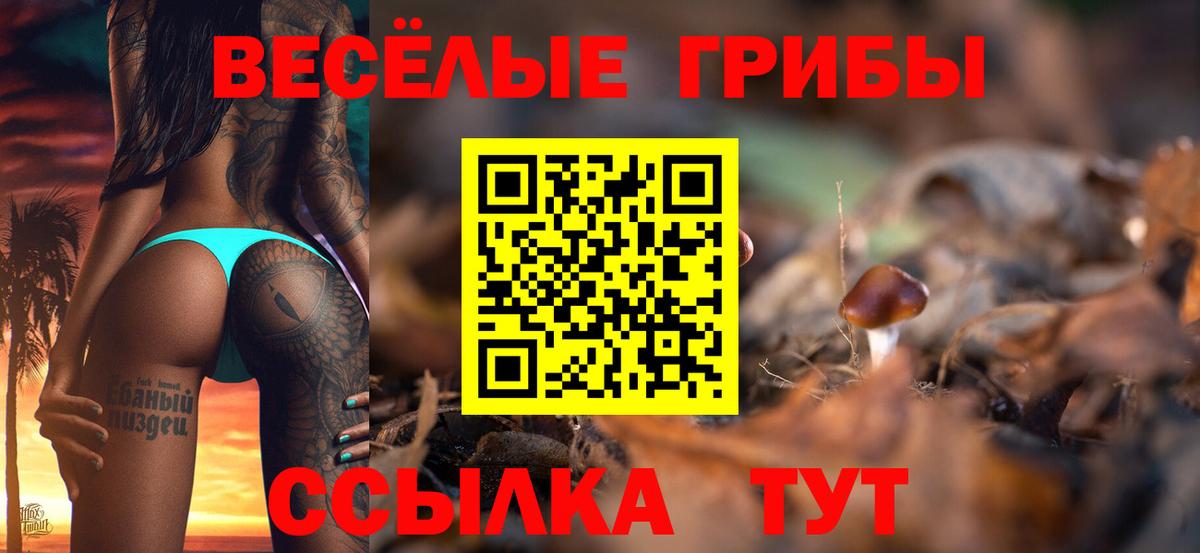 Псилоцибиновые грибы GOLDEN TEACHER Сальск